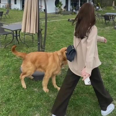 复仇女神